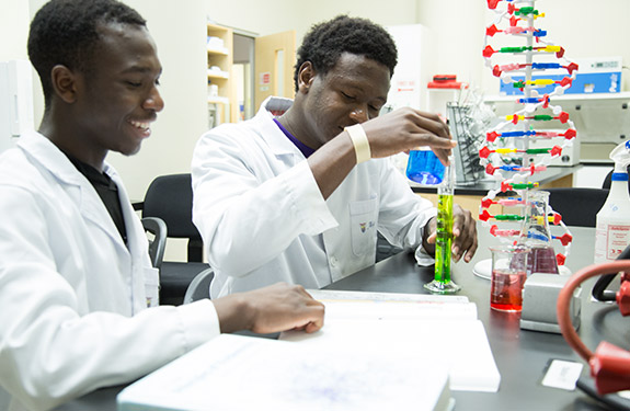 Students Learning Chemistry in a Laboratory Environment