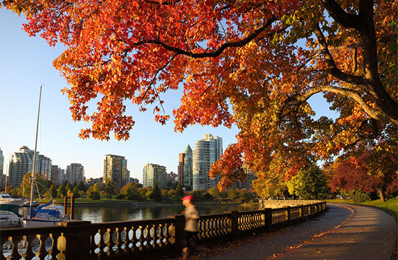 Fall Time at Stanley Park Vancouver Canada