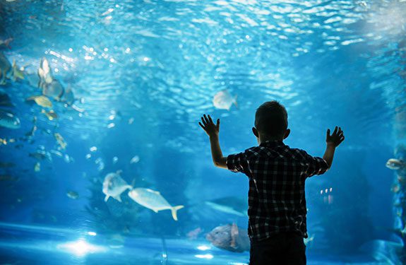 Vancouver Aquarium at Stanley Park